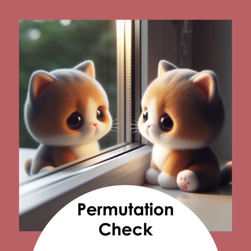 permutation check